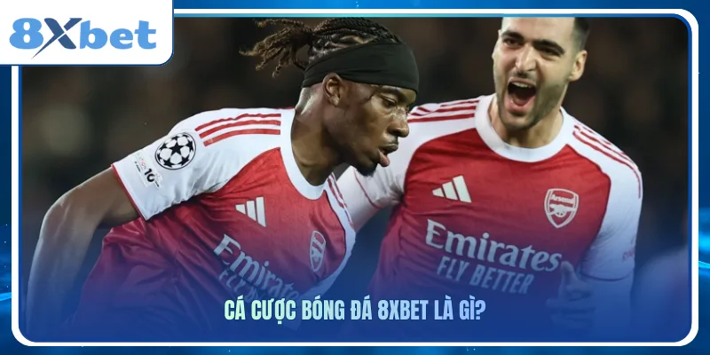 Cá cược bóng đá 8xbet là gì?