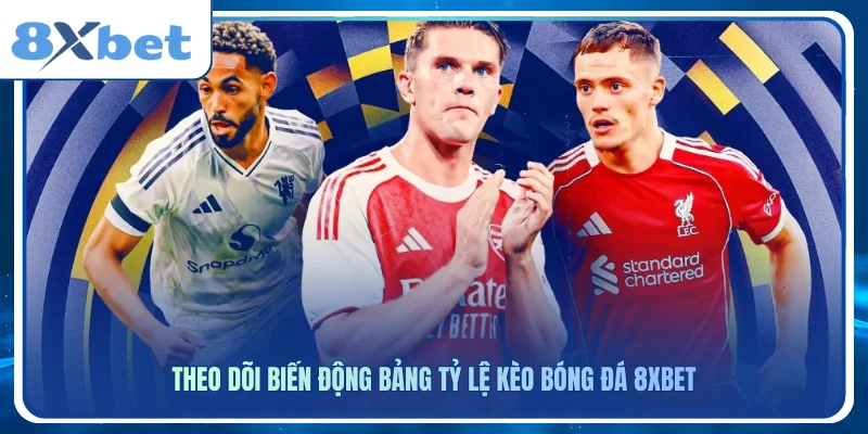 Theo dõi biến động bảng tỷ lệ kèo bóng đá 8xbet