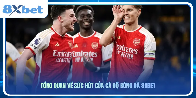 Tổng quan về sức hút của cá độ bóng đá 8xbet
